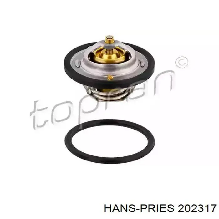 202317 Hans Pries (Topran) Termostato