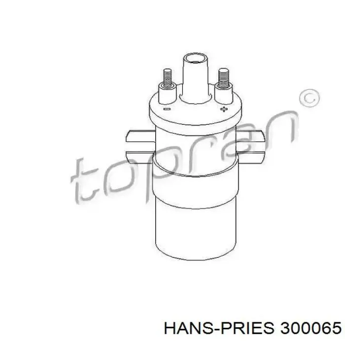 300065 Hans Pries (Topran) Bobina de ignição
