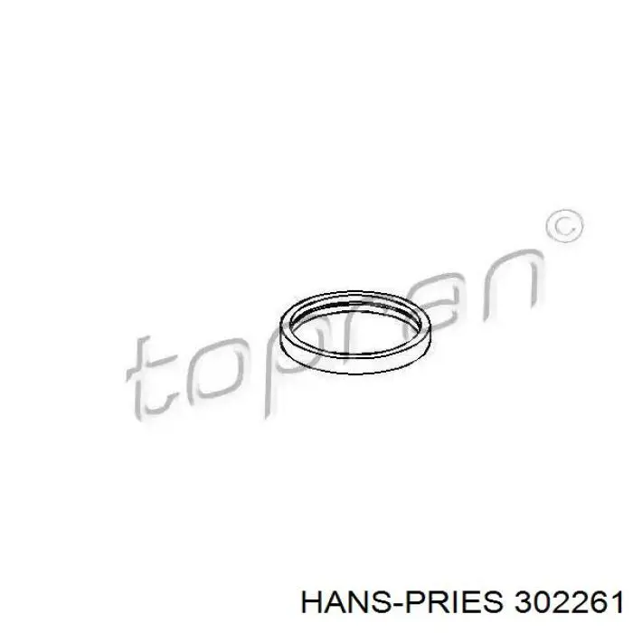 302261 Hans Pries (Topran) Vedante de termostato