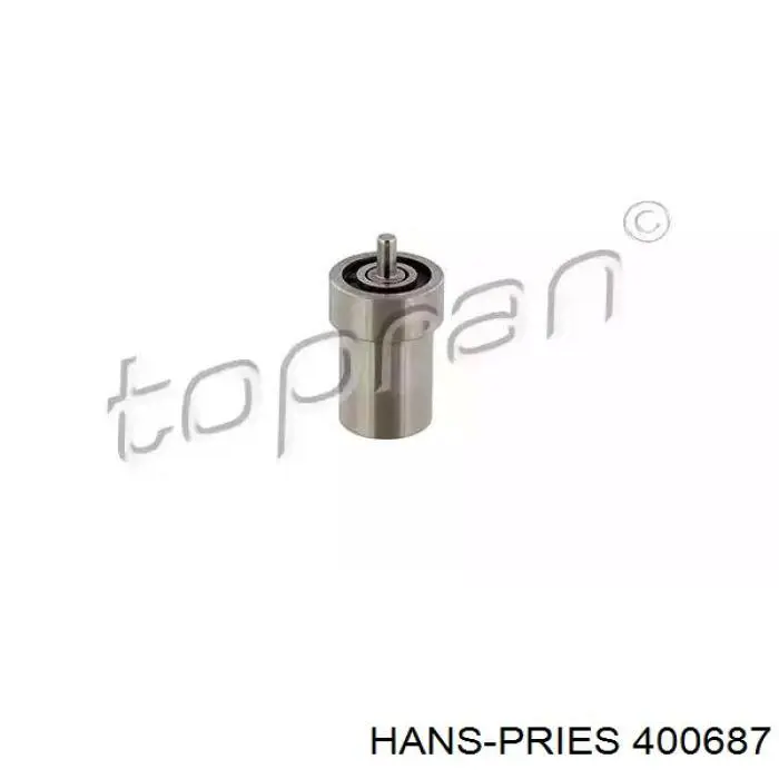 400687 Hans Pries (Topran) Pulverizador de diesel do injetor