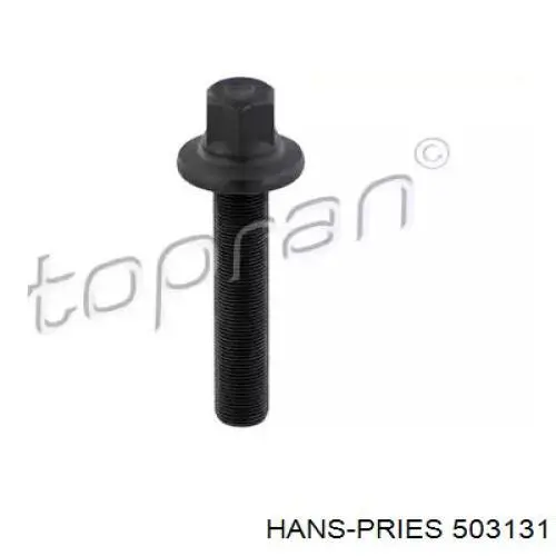 11232248268 BMW Parafuso da polia de cambota