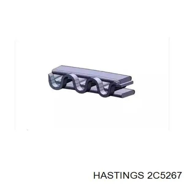 Compre 2C5267 Hastings Kit de anéis de pistão de motor, STD.