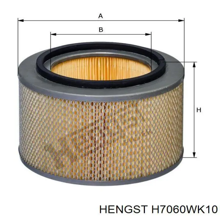 Filtro de combustível RD830L Rider