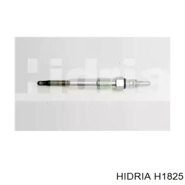 Compre H1825 Hidria Vela de incandescência