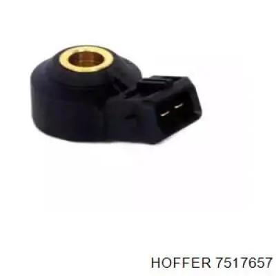 Compre 7517657 Hoffer Sensor de detonação
