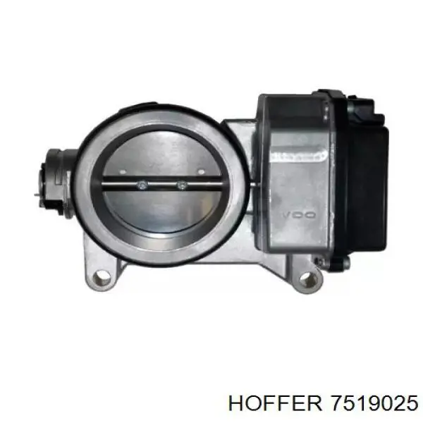 Compre AF07456 Alfa E-Parts Válvula de borboleta montada