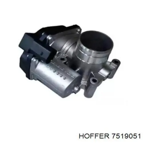 Compre AF07560 Alfa E-Parts Válvula de borboleta montada