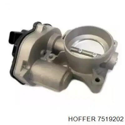 7519202 Hoffer Válvula de borboleta montada
