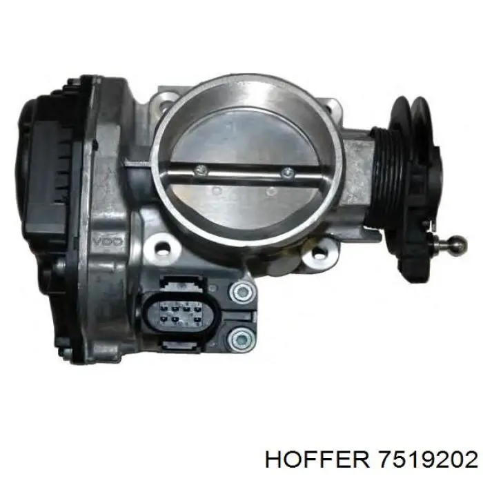Compre 7519202 Hoffer Válvula de borboleta montada