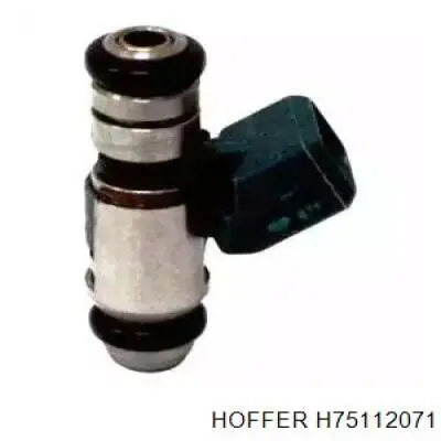 H75112071 Hoffer Injetor de injeção de combustível