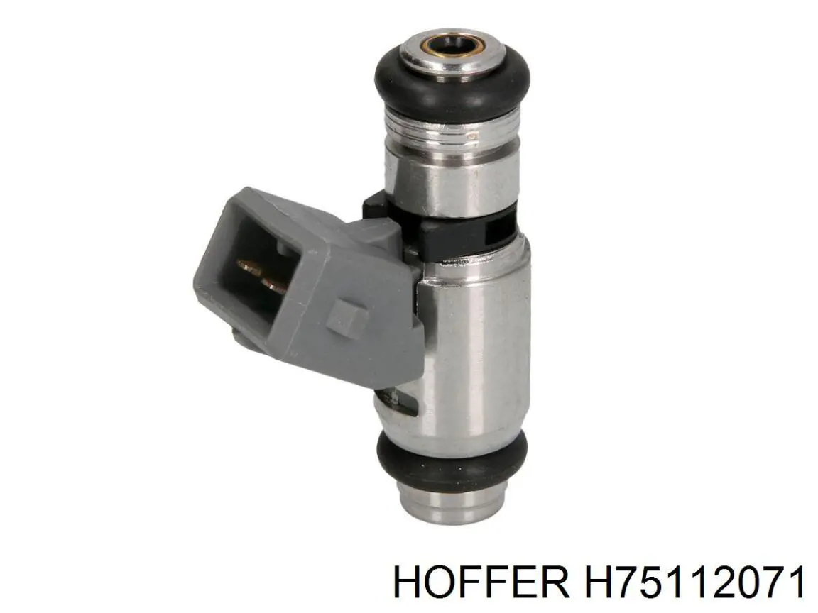 Injetor de injeção de combustível Hoffer H75112071 preço, a partir de 45,50 USD