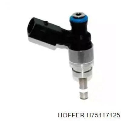 Compre 79906036C VAG Injetor de injeção de combustível