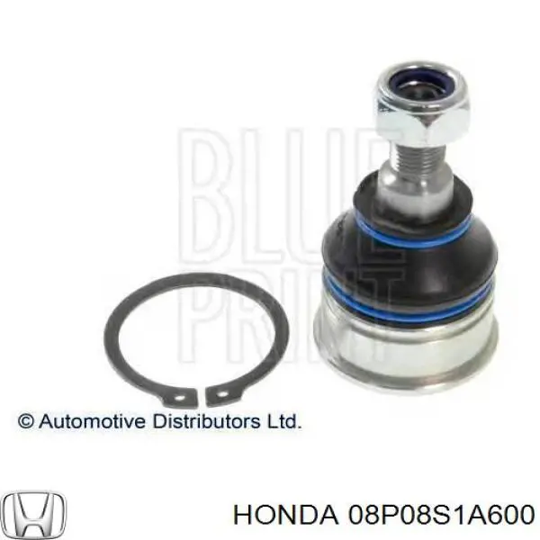 Protetores de lama dianteiros, kit Honda Accord VI CG