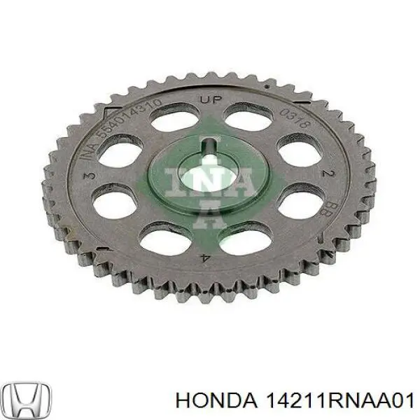 Engrenagem de cadeia da roda dentada da árvore distribuidora de motor Honda 14211RNAA01 preço, a partir de 37,21 USD