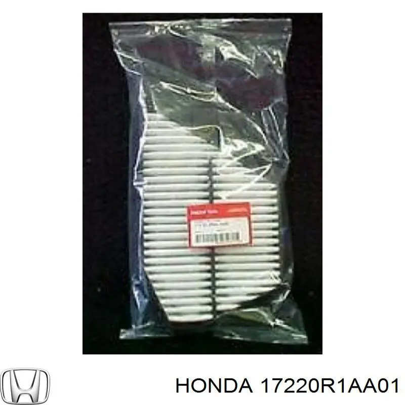 17220R1AA01 Honda Filtro de ar