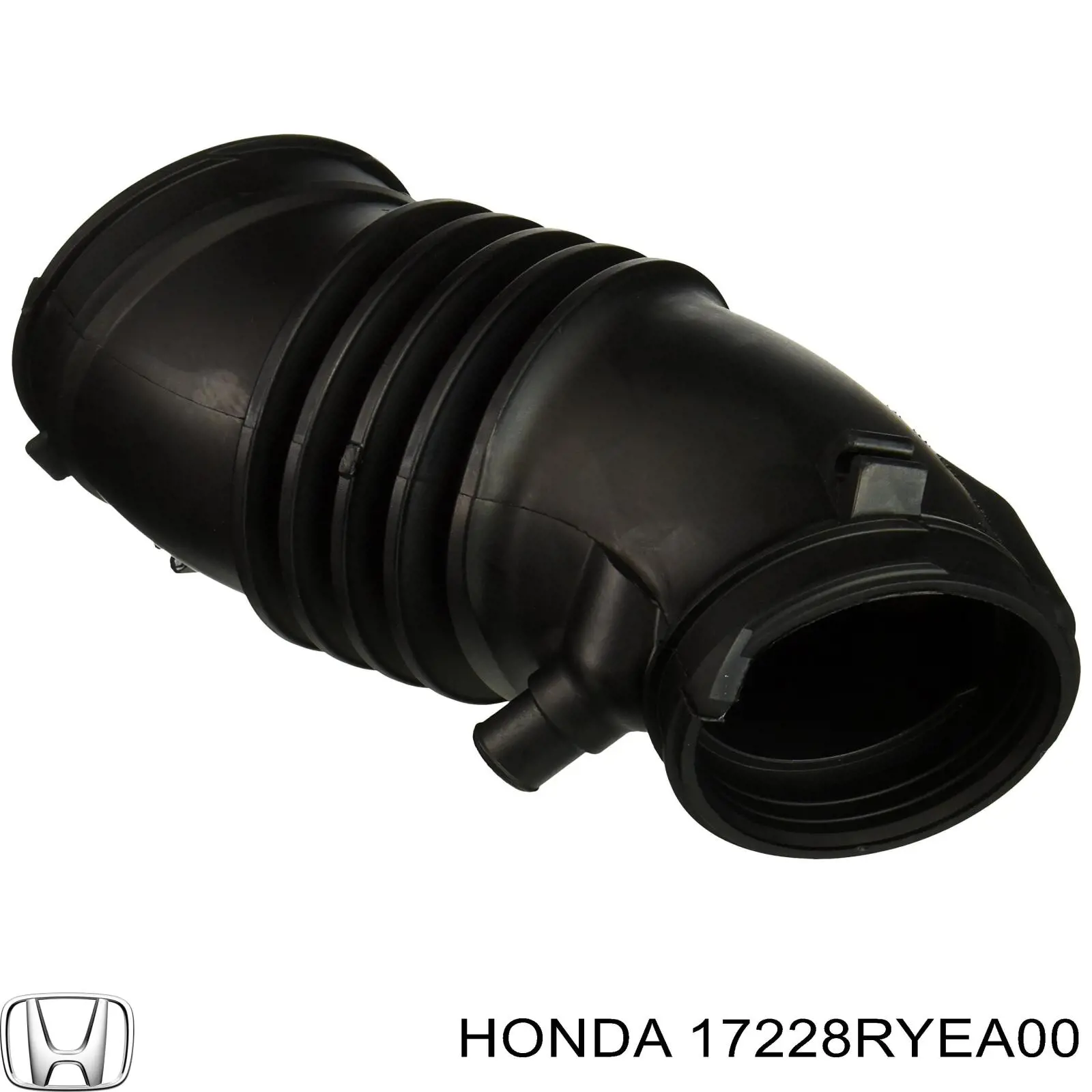 17228RYEA00 Honda Cano derivado de ar, entrada de filtro de ar