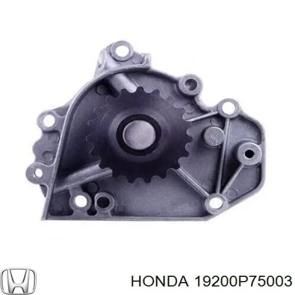 Compre 19200P75003 Honda Bomba de água (bomba) de esfriamento