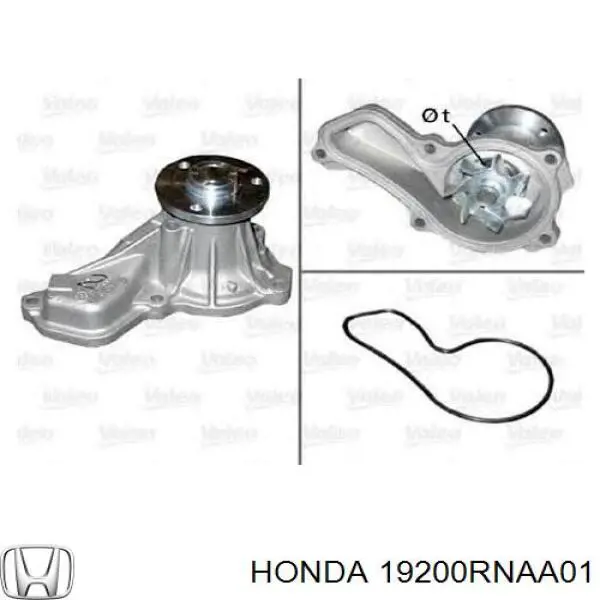 Compre 19200RNAA01 Honda Bomba de água (bomba) de esfriamento