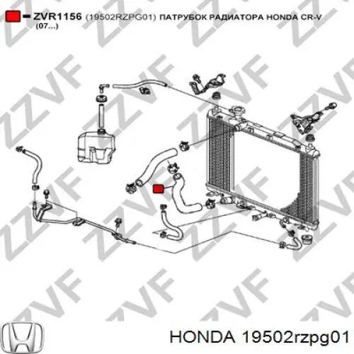 Mangueira (cano derivado) inferior do radiador de esfriamento Honda 19502RZPG01 preço, a partir de 13,77 USD