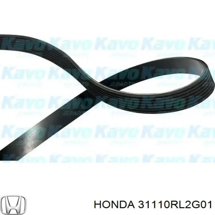 Compre 31110RL2G01 Honda Correia dos conjuntos de transmissão