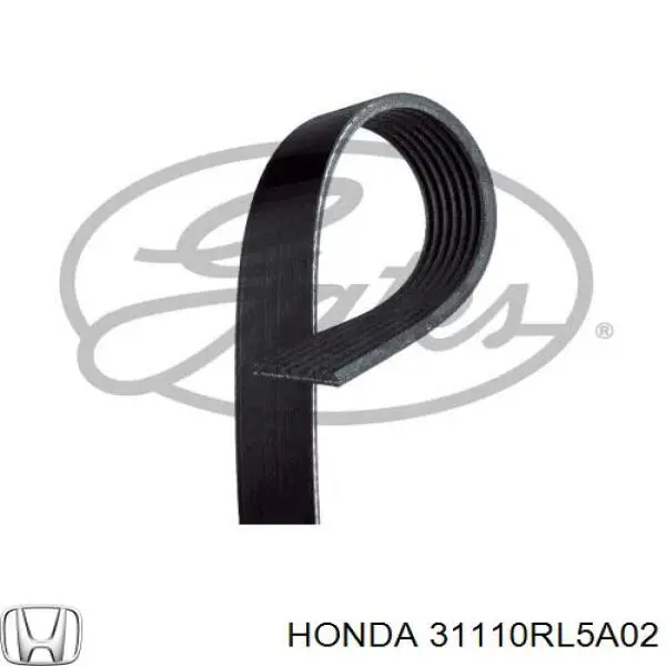 Correia dos conjuntos de transmissão 31110RL5A02 Honda