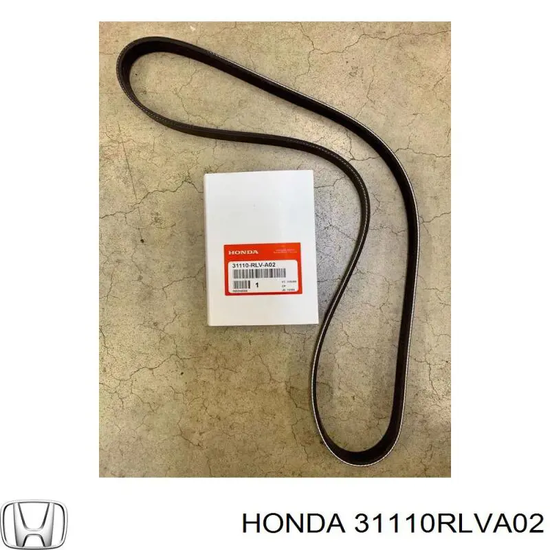 Compre 31110RLVA02 Honda Correia dos conjuntos de transmissão