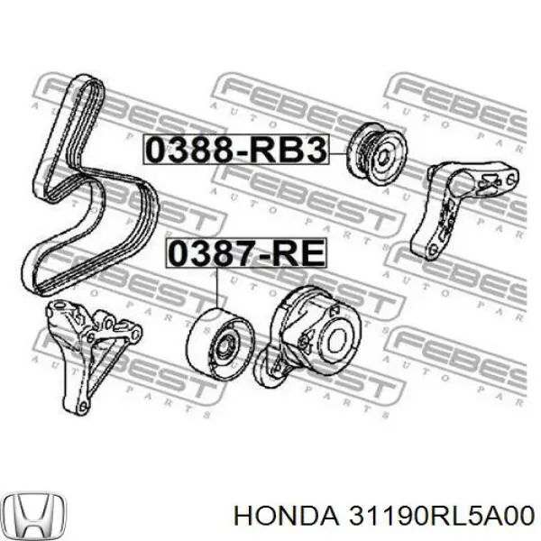 Rolo parasita da correia de transmissão Honda 31190RL5A00 preço, a partir de 44,57 USD
