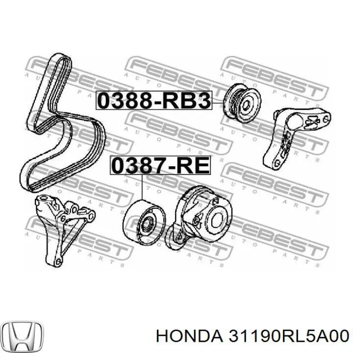 Rolo parasita da correia de transmissão 31190RL5A00 Honda