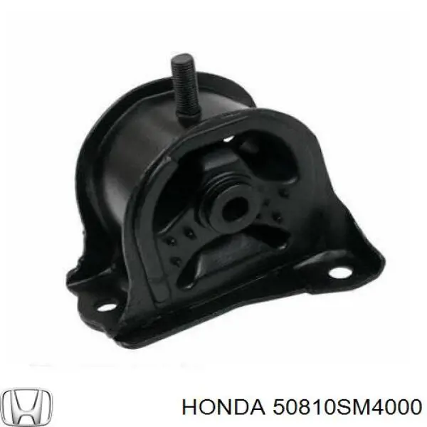 Compre AWSHO1047 Tenacity Coxim (suporte) traseiro de motor