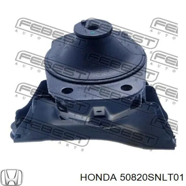 50820SNLT01 Honda Coxim (suporte) direito inferior de motor
