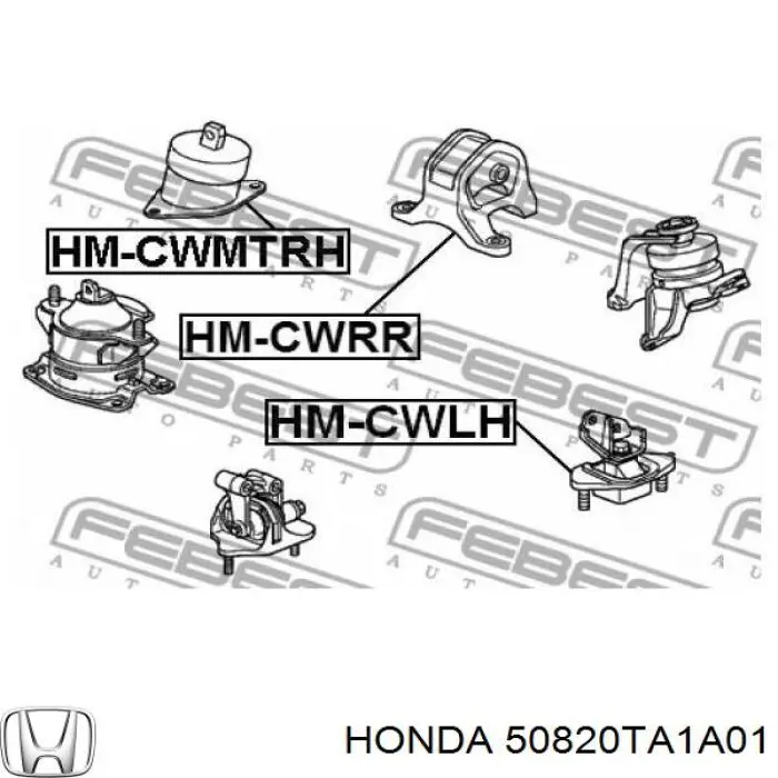 50820TA1A01 Honda Coxim (suporte) direito de motor