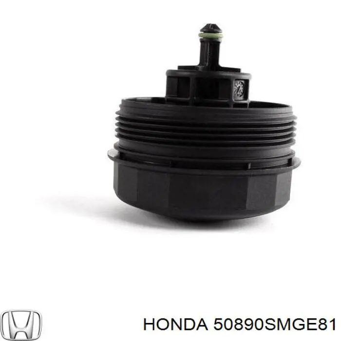 50890SMGE81 Honda Coxim (suporte) traseiro de motor