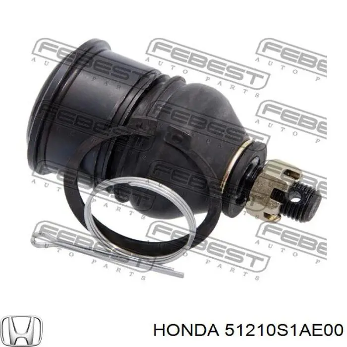Pino moente (extremidade do eixo) dianteiro direito Honda 51210S1AE00 preço, a partir de  