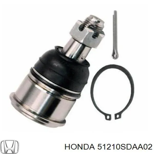 Pino moente (extremidade do eixo) dianteiro direito Honda 51210SDAA02 preço, a partir de 122,80 USD