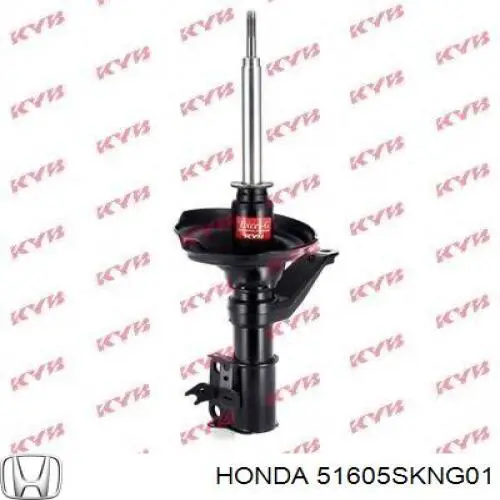 51605SKNG01 Honda Amortecedor dianteiro direito