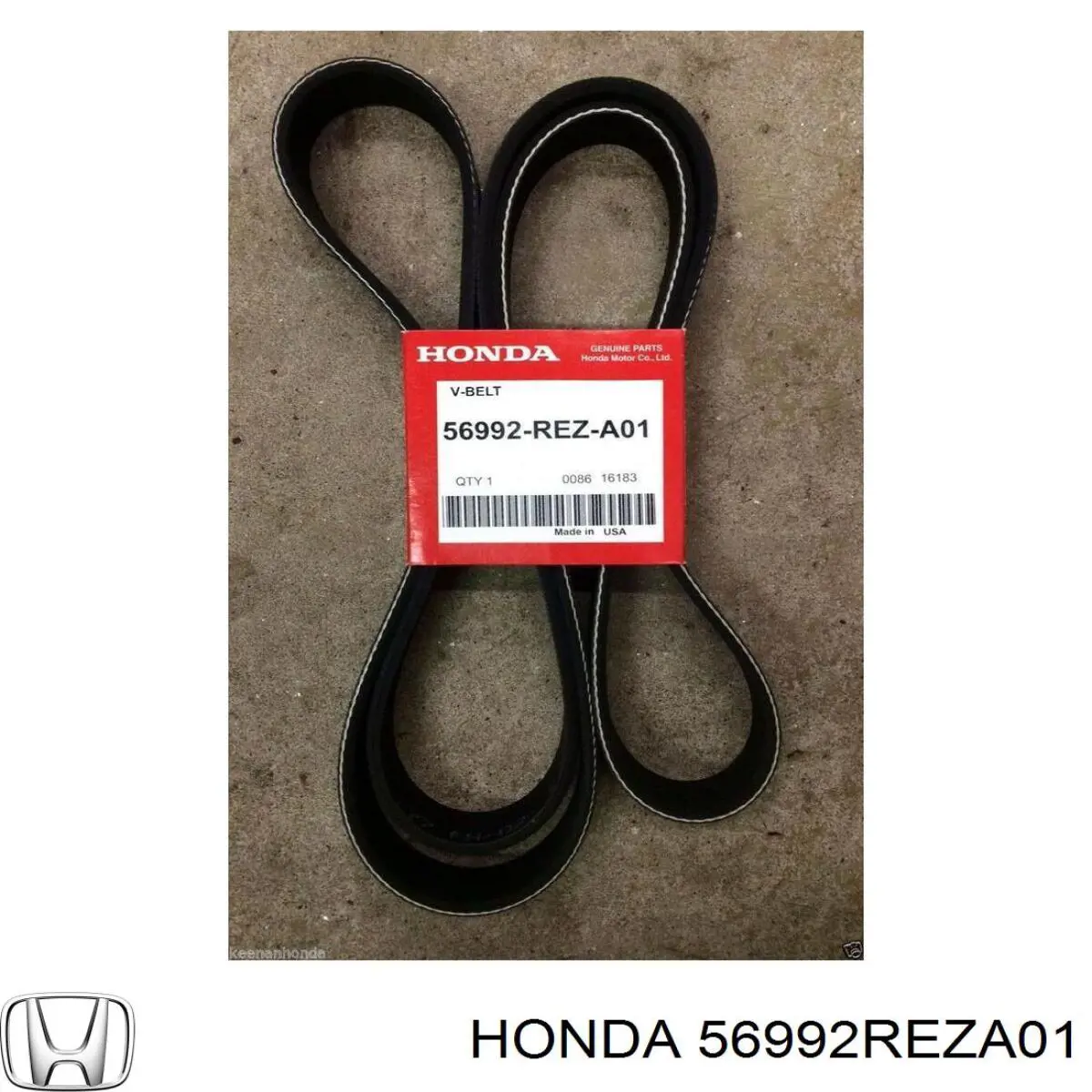 56992REZA01 Honda Correia dos conjuntos de transmissão