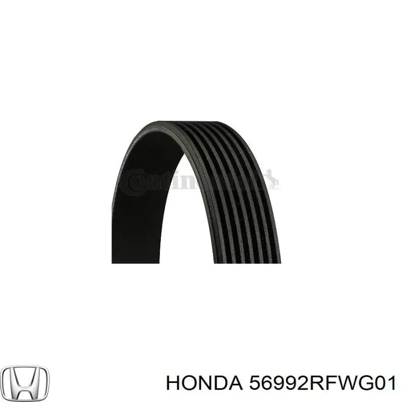 Compre 56992RFWG01 Honda Correia dos conjuntos de transmissão