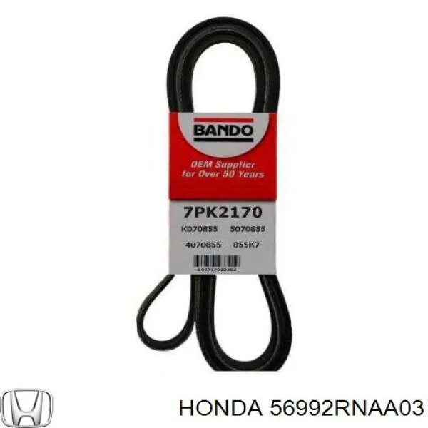 Compre 56992RNAA03 Honda Correia dos conjuntos de transmissão