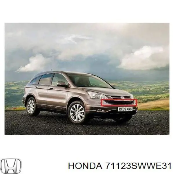 Grelha do radiador Honda 71123SWWE31 preço, a partir de 138,88 USD