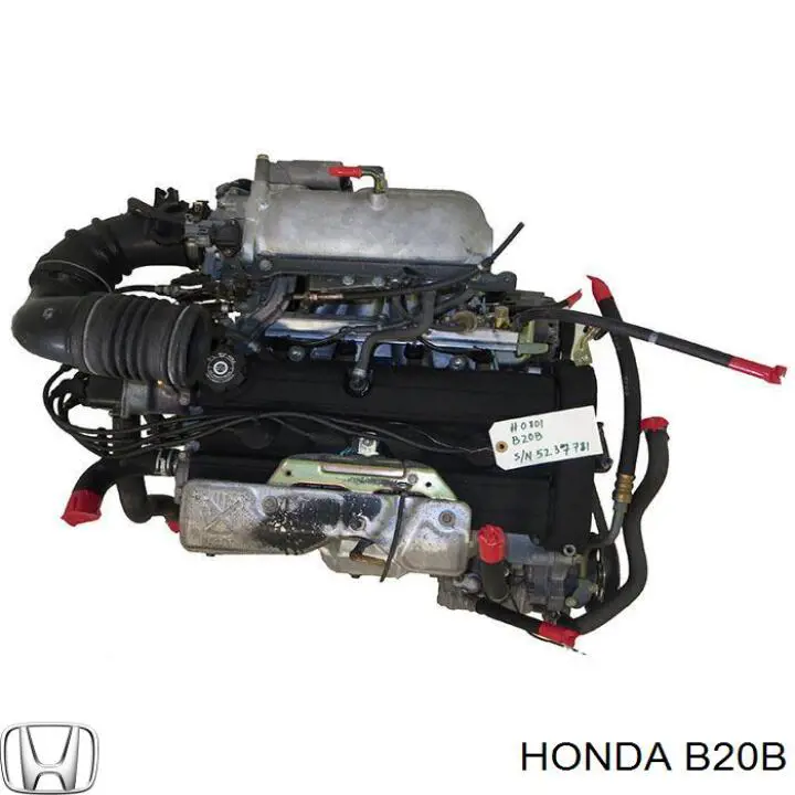 B20B Honda Motor montado