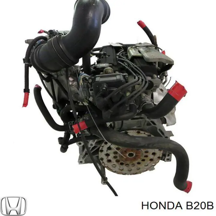 Motor montado B20B Honda