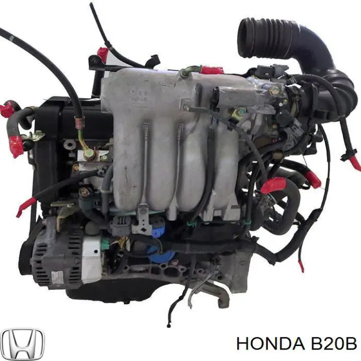 Compre B20B Honda Motor montado