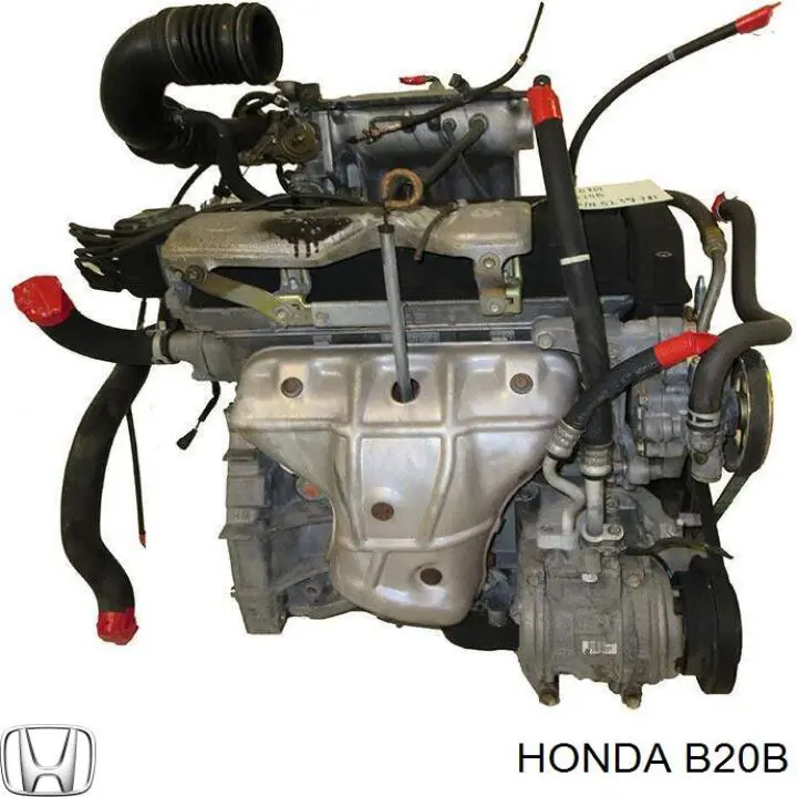 Motor montado Honda B20B preço, a partir de  USD