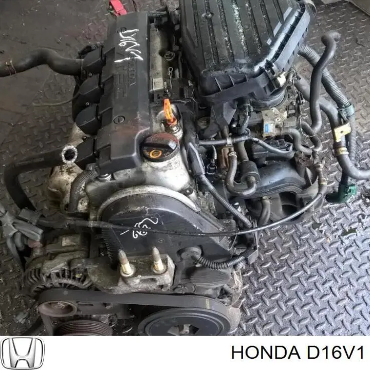 Compre D16V1 Honda Motor montado