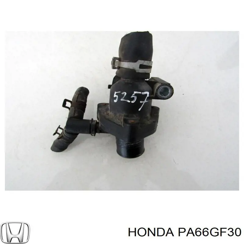 Braçadeira de plástico universal Peugeot/Citroen PA66GF30 preço, a partir de 37,46 USD