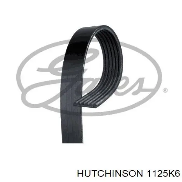 Correia dos conjuntos de transmissão Hutchinson 1125K6 preço, a partir de 13,60 USD