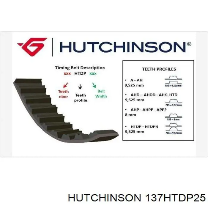 Compre 137HTDP25 Hutchinson Correia do mecanismo de distribuição de gás