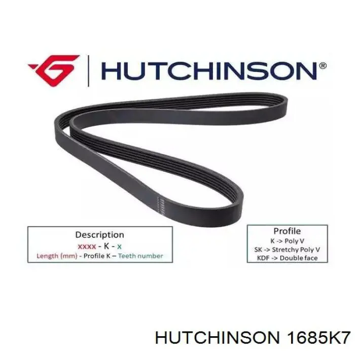 1685K7 Hutchinson Correia dos conjuntos de transmissão
