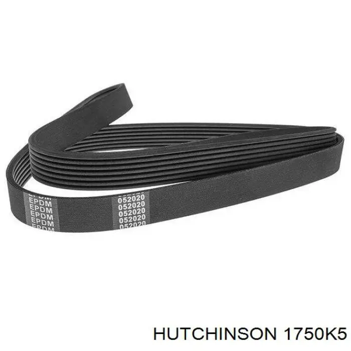 Correia dos conjuntos de transmissão Hutchinson 1750K5 preço, a partir de 17,05 USD