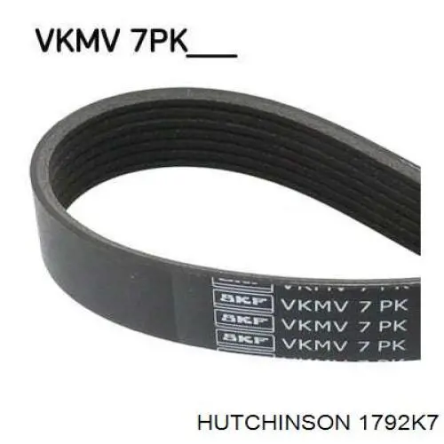 Correia dos conjuntos de transmissão Hutchinson 1792K7 preço, a partir de 14,60 USD